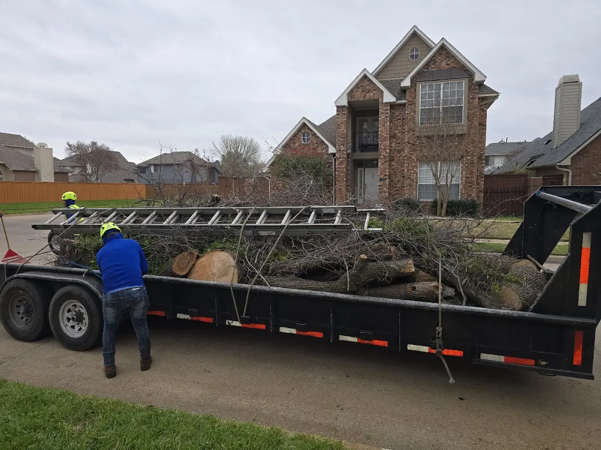 Expert Lot Clearing with proper safety equipment in Collbran